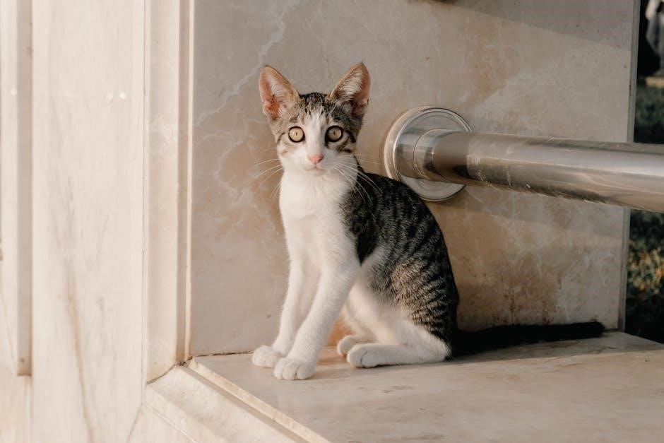 hoover powerdash pet manual