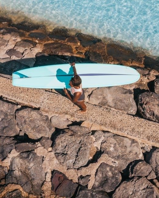 declaration of independence activity pdf